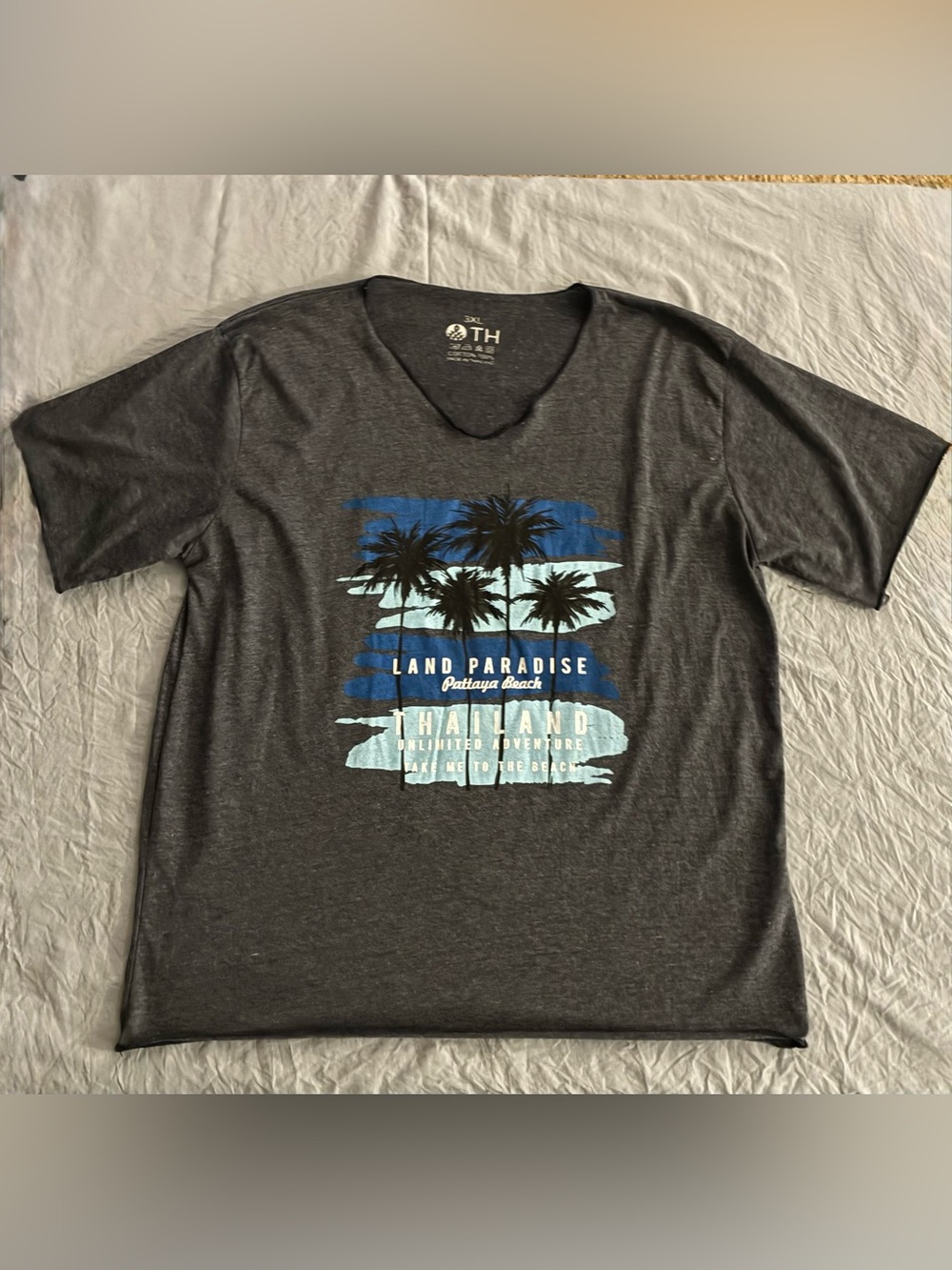 Men’s Charcoal V-Neck Graphic Tee - Land Paradise